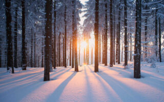 solstitiul de iarna lumina si intuneric